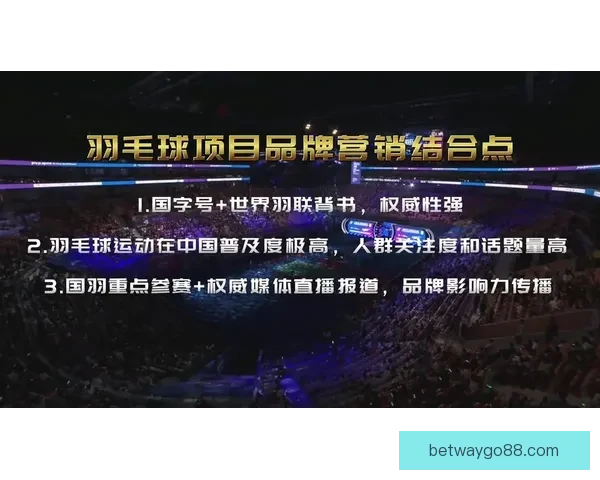 畅享体育竞猜入口全面服务体验开启全新竞技娱乐时代