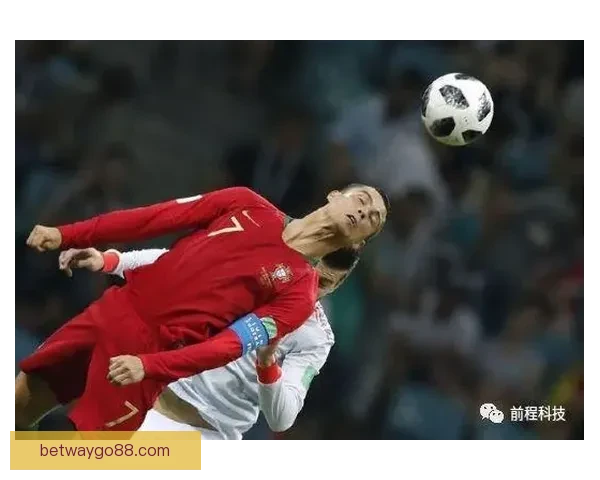 世界杯买球攻略全面解析让你轻松掌握投注技巧 世界杯买球攻略全面解析让你轻松掌握投注技巧